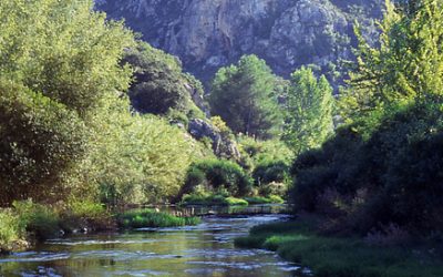 Paraje Protegit del Serpis